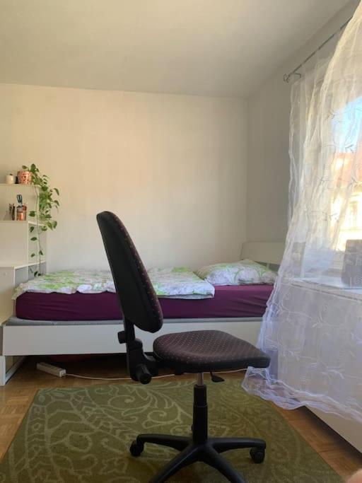 Kleine Wohnung Im Zentrum Graz Bagian luar foto